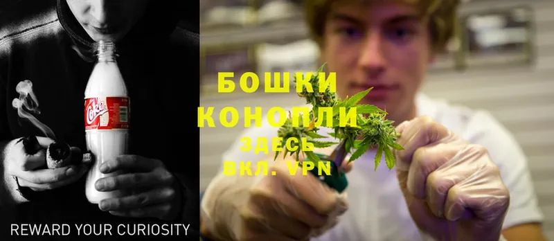 МЕГА ТОР  Козьмодемьянск  МАРИХУАНА OG Kush 